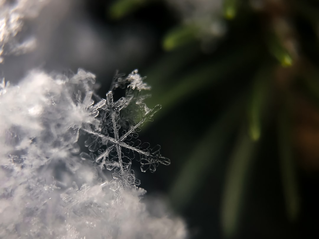 trêve hivernale