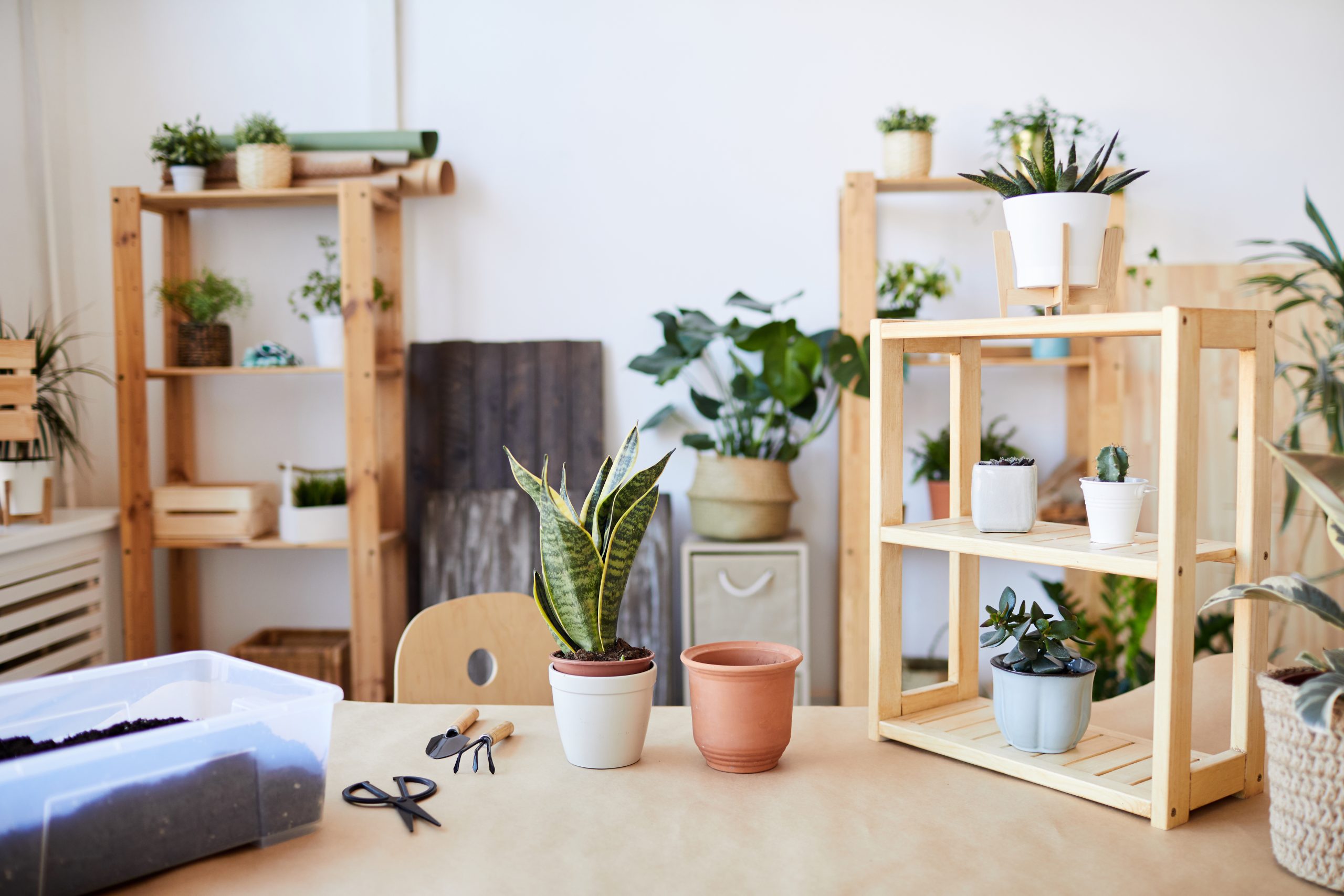 bricolage pour le home staging